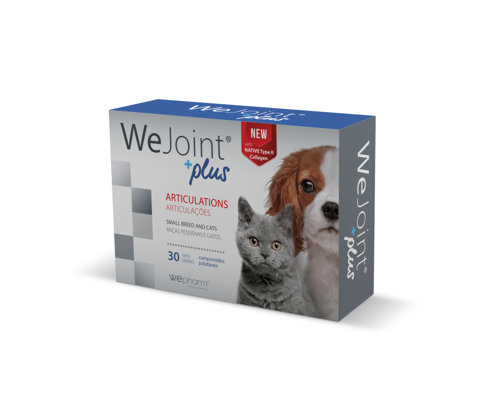 Wejoint Plus Small Breed & Cat 30 tabl